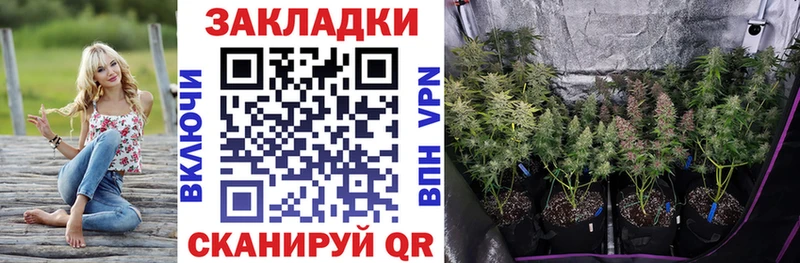 Что такое Починок блэк спрут зеркало  Alpha-PVP  Галлюциногенные грибы  КОКАИН  Меф мяу мяу  Канабис 