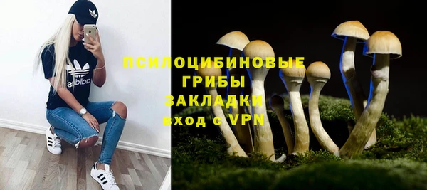 бошки Арсеньев