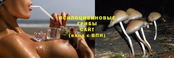 стафф Аркадак