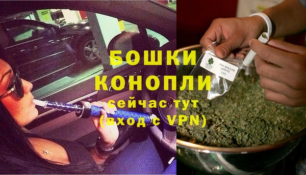 стафф Аркадак
