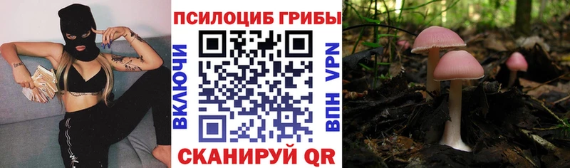 Галлюциногенные грибы GOLDEN TEACHER  Починок 